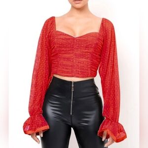 Nordstrom Love X Design women's sz L pleated mesh top Cropped Long Sleev…